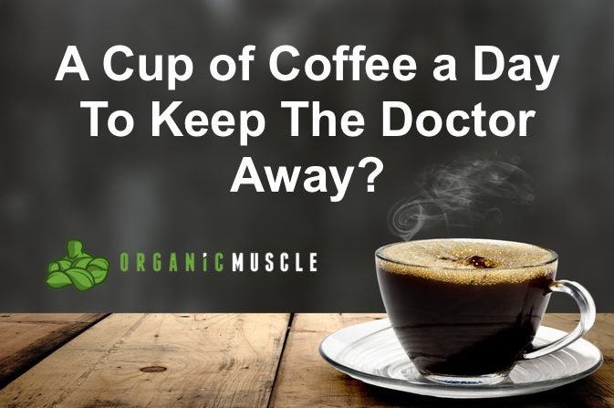 A Cup of Coffee A Day To Keep The Doctor Away? - Organic Muscle Fitness Supplements