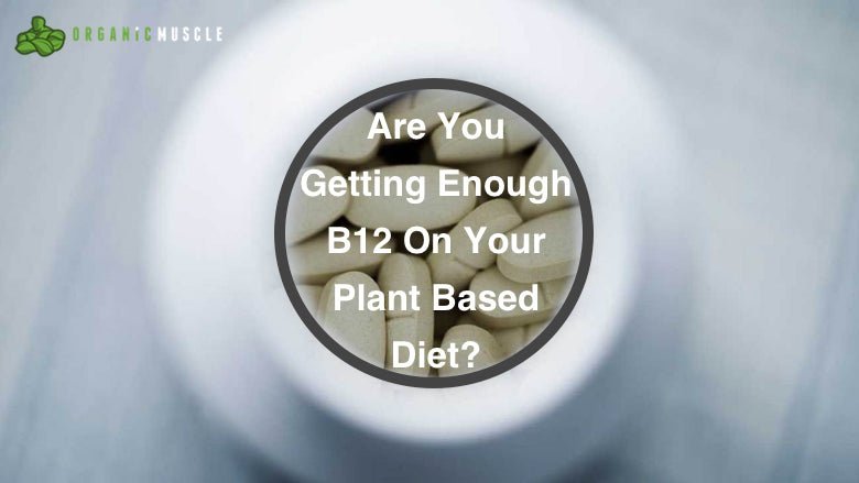 Are You Getting Enough B12 On Your Plant Based Diet? - Organic Muscle Fitness Supplements