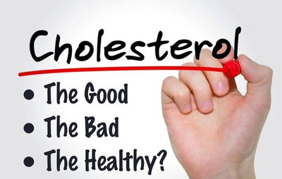 Cholesterol: The Good, The Bad, The Healthy?