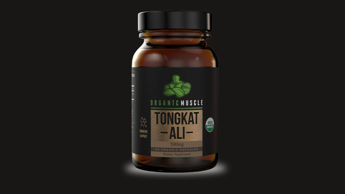 Is Tongkat Ali Safe Organic Muscle Organic Muscle Fitness Supplements
