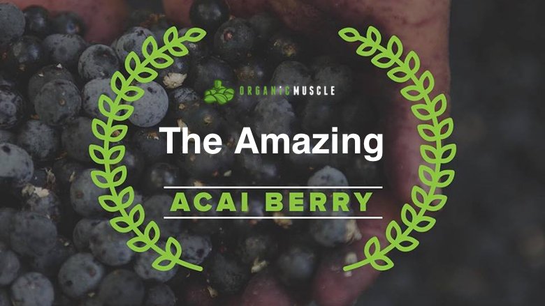 The Amazing Acai Berry - Organic Muscle Fitness Supplements