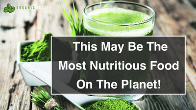 This May Be The Most Nutritious Food On The Planet!