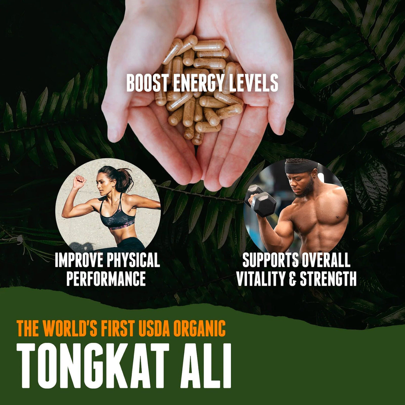 Tongkat Ali for Women: In-Depth Guide - Organic Muscle Fitness Supplements