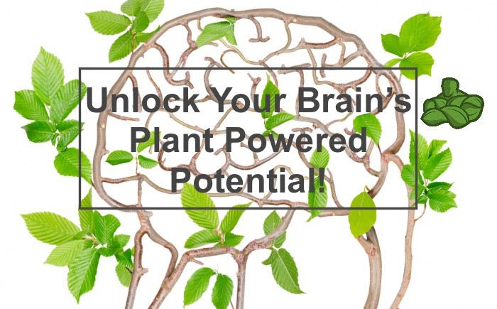 Unlock Your Brain's Plant Powered Potential! - Organic Muscle Fitness Supplements