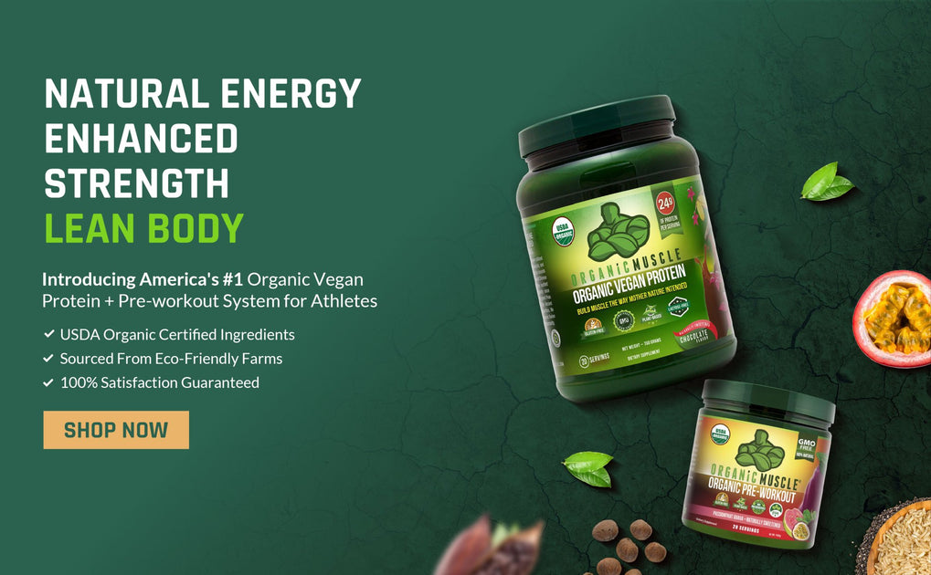 Pre Workout Top Organic Pre Workout Supplements For Energy Organic