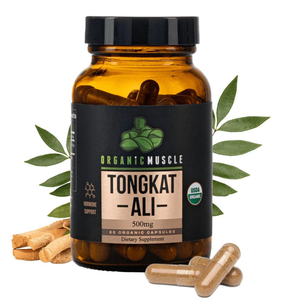 Tongkat Ali Benefits for Men Organic Muscle Fitness Supplements