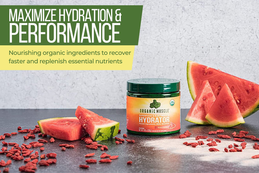 Electrolyte Hydrator - Organic Muscle Fitness SupplementsOrganic Muscle SupplementsOrganic Muscle Fitness Supplements788454267155