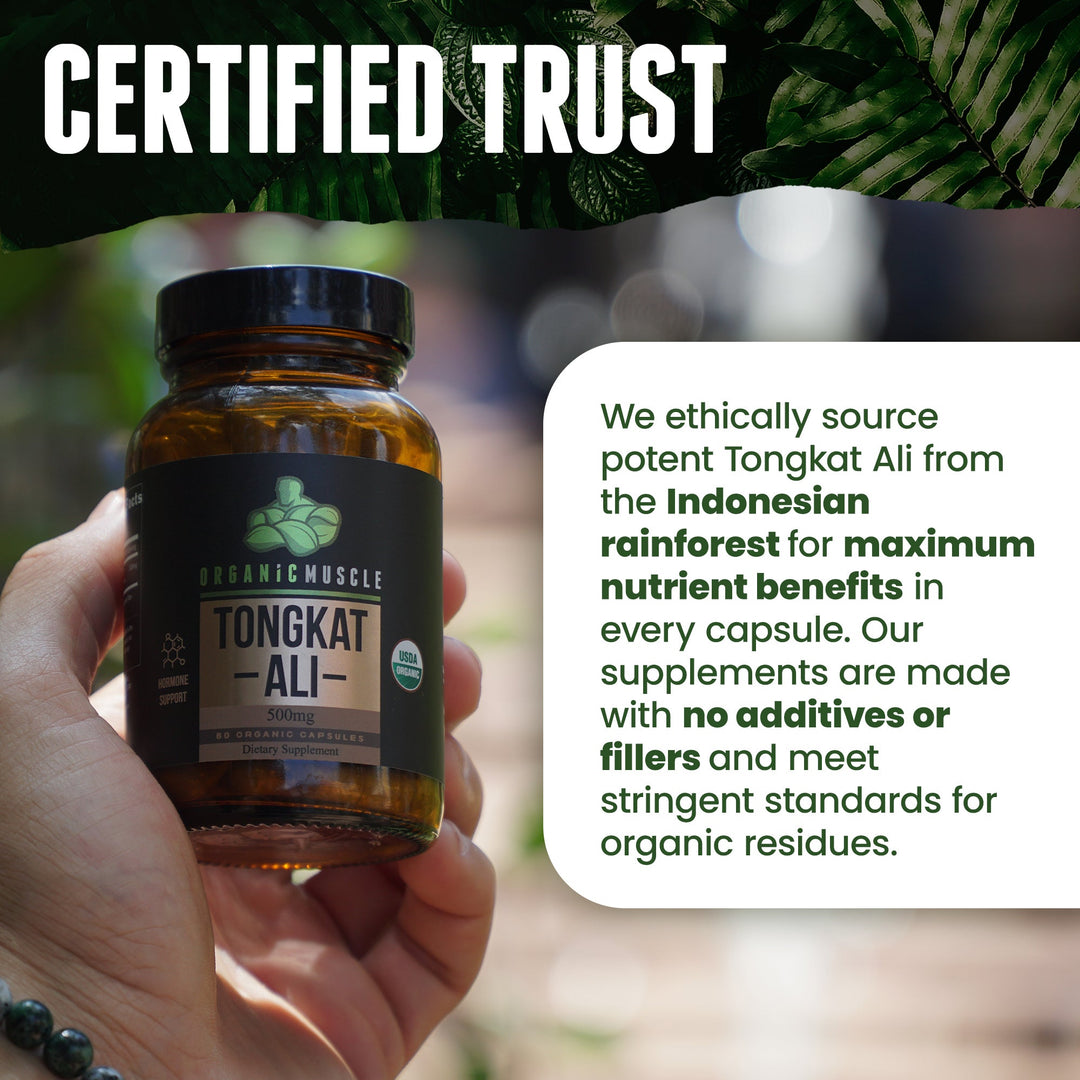 Organic Tongkat Ali - Organic Muscle Fitness SupplementsOrganic Muscle Fitness SupplementsOrganic Muscle Fitness Supplements