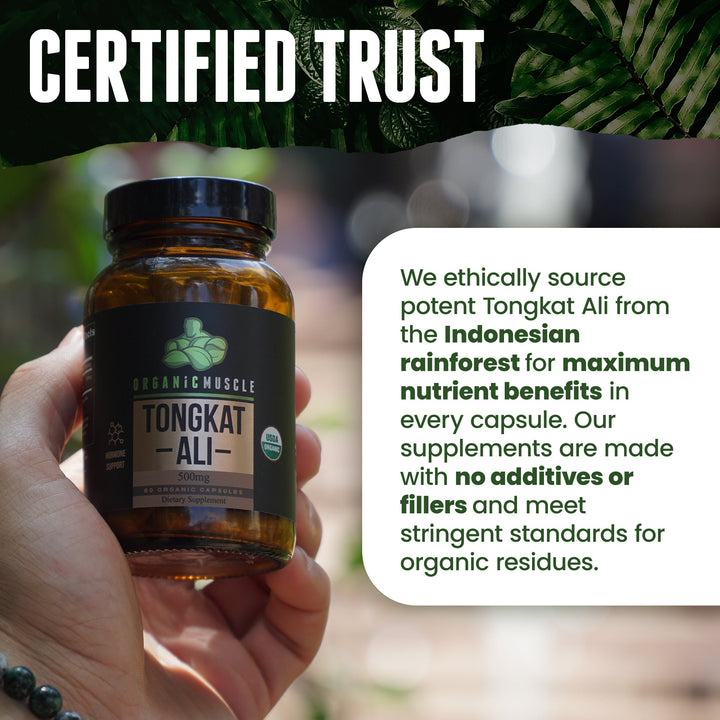 Organic Tongkat Ali - Organic Muscle Fitness SupplementsOrganic Muscle Fitness SupplementsOrganic Muscle Fitness Supplements