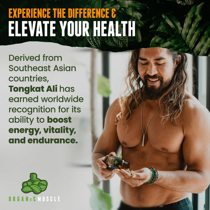 Organic Tongkat Ali - Organic Muscle Fitness SupplementsOrganic Muscle Fitness SupplementsOrganic Muscle Fitness Supplements