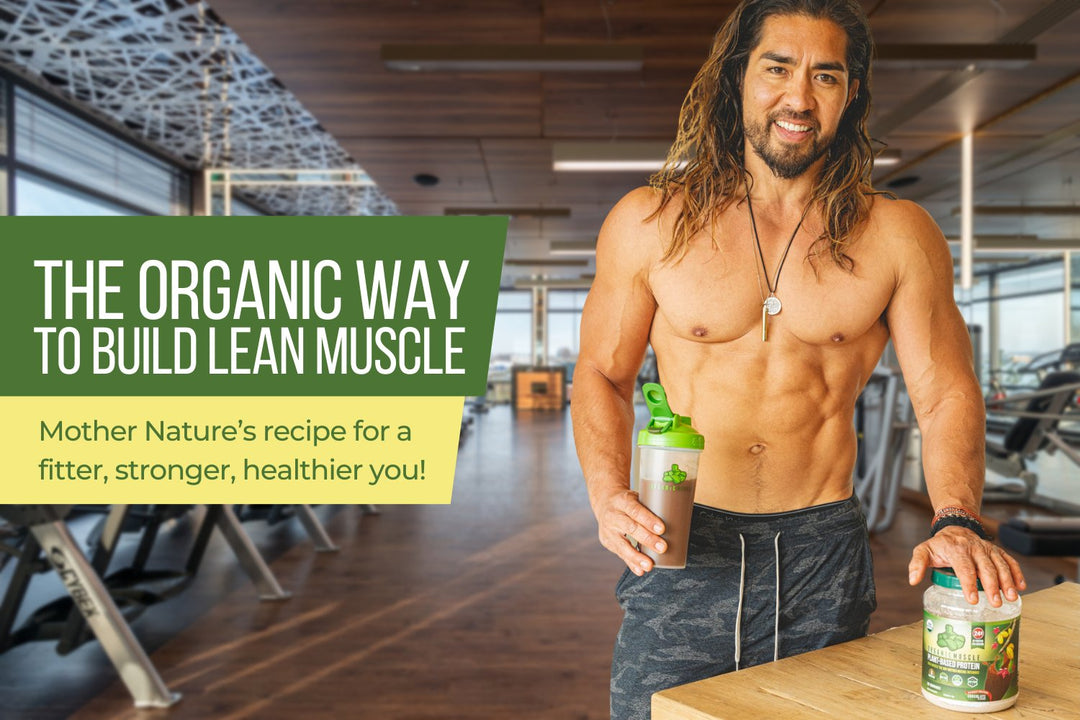Organic Vegan Protein - Chocolate (Low Stock) - Organic Muscle Fitness SupplementsOrganic Muscle SupplementsOrganic Muscle Fitness Supplements019962141218
