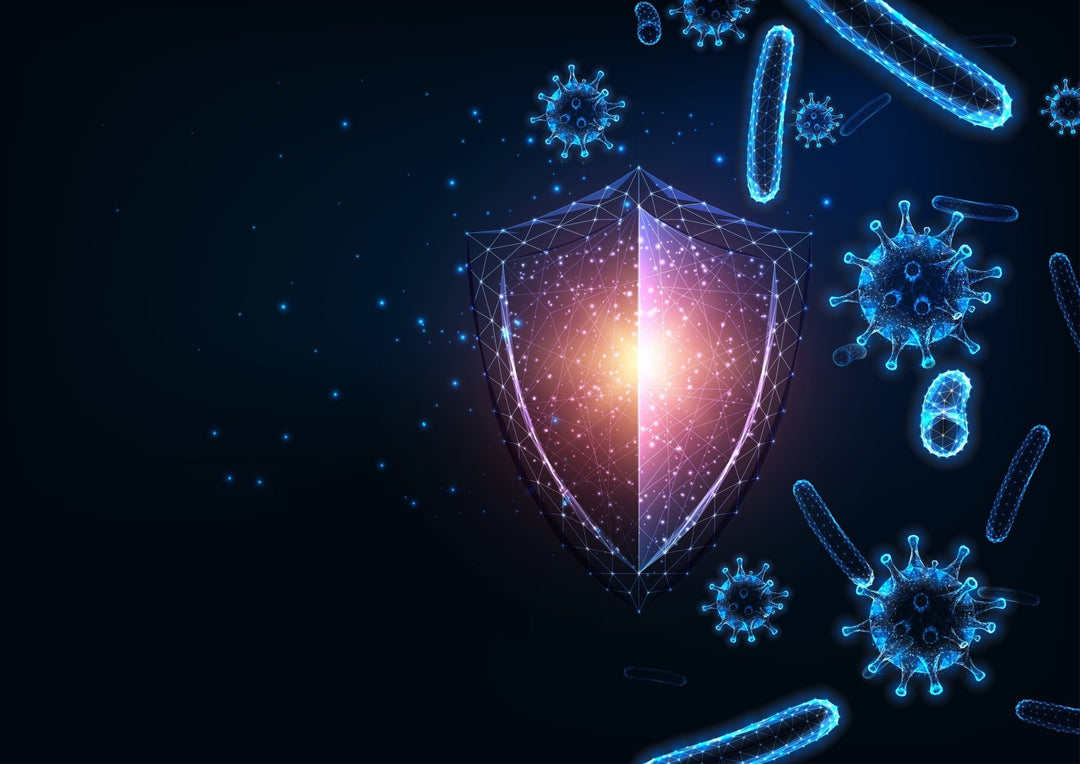 Build A Natural Immunity Shield! - Organic Muscle Fitness Supplements