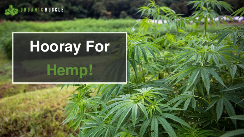 Hooray For Hemp! - Organic Muscle Fitness Supplements