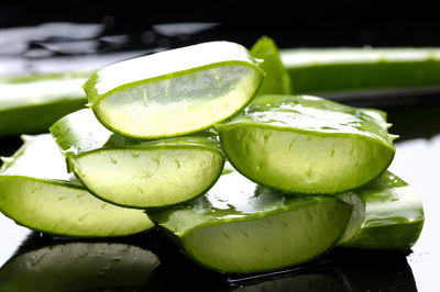 Ingredient Showcase: Aloe Vera