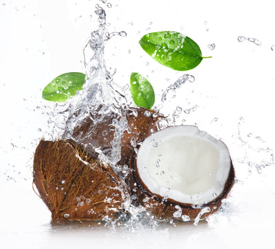 Ingredient Showcase: Coconut Water