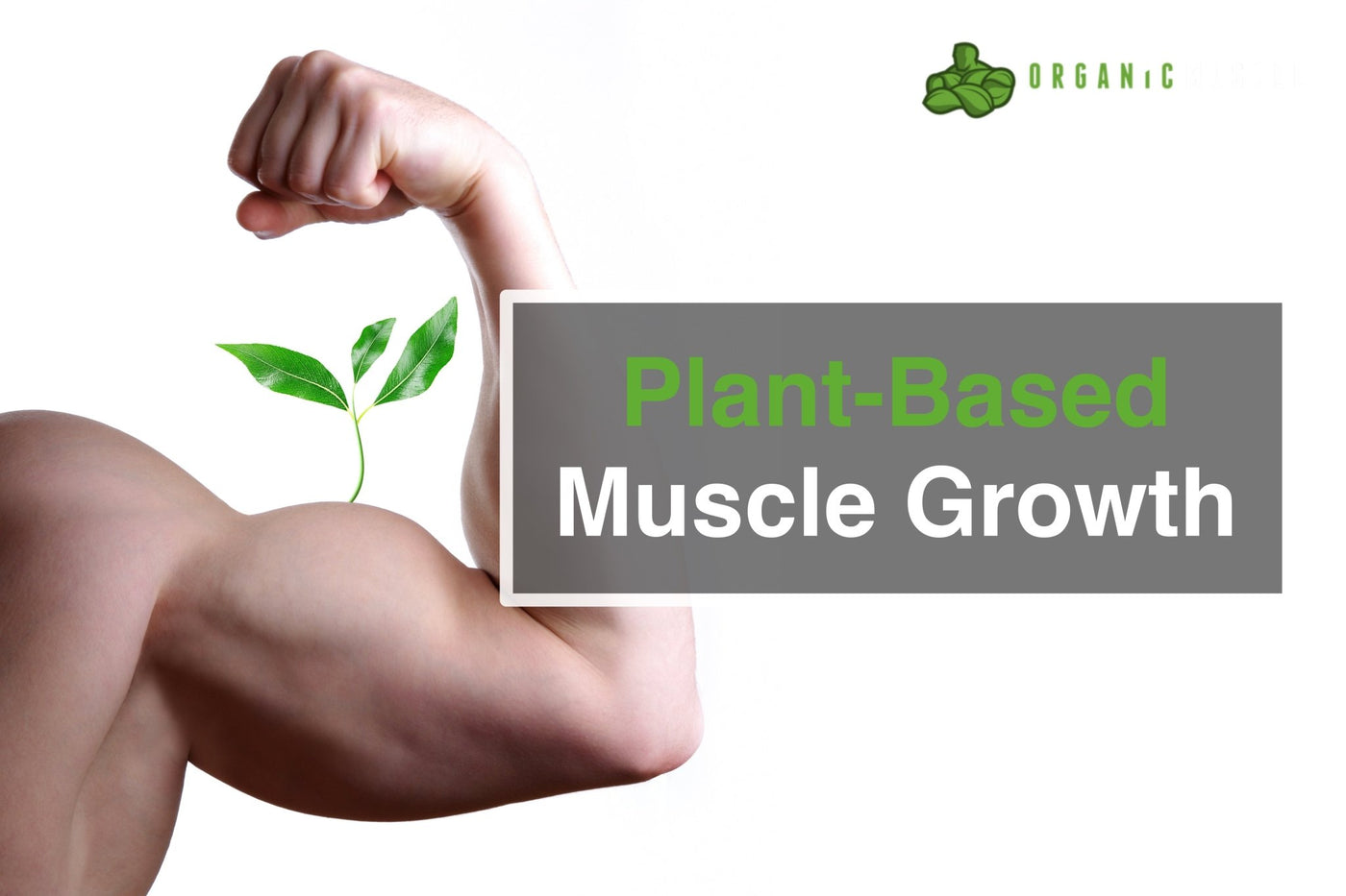 Plant-Based Muscle Growth - Organic Muscle Fitness Supplements