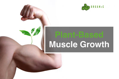 Plant-Based Muscle Growth