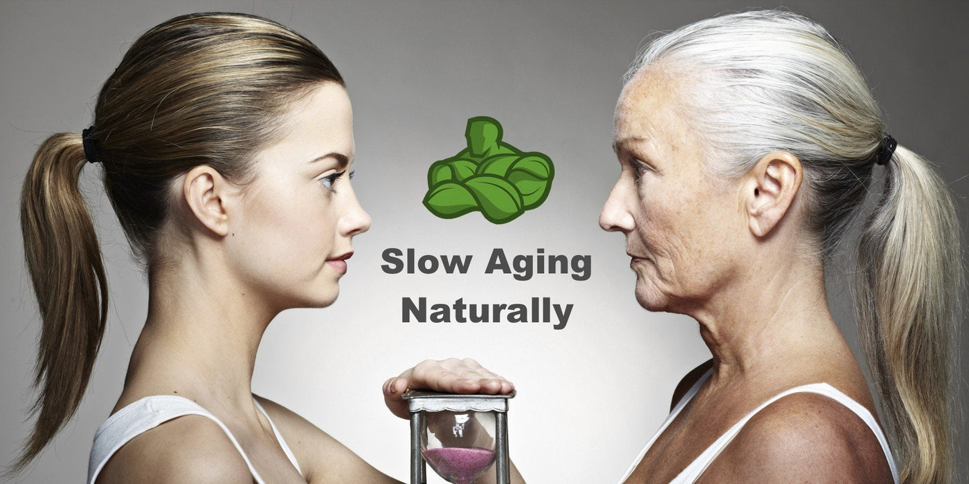 Slow Aging Naturally! - Organic Muscle Fitness Supplements