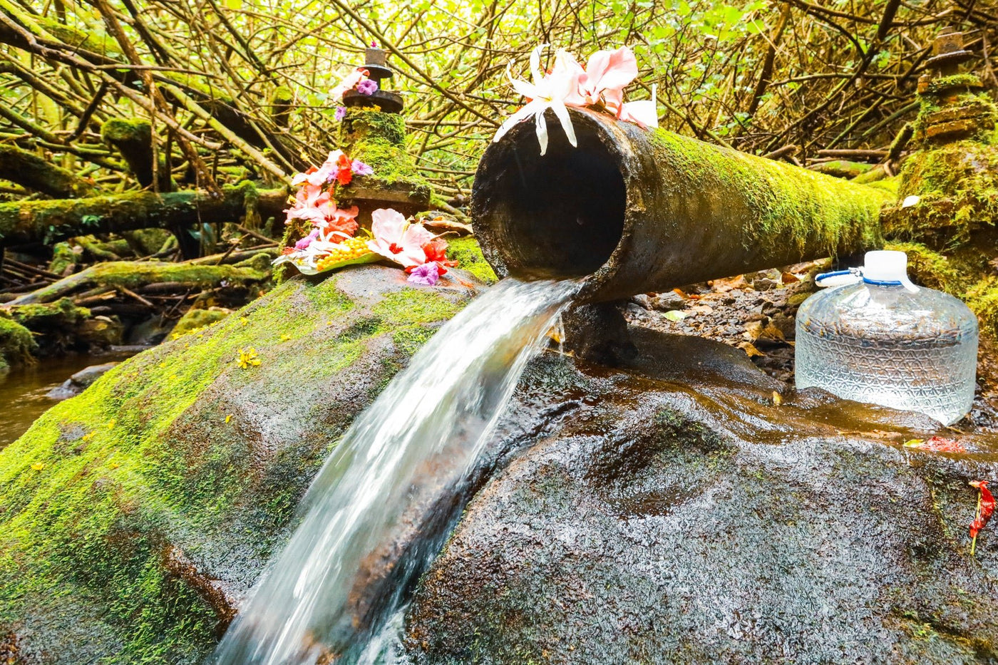 Spring Water – Nature's Perfect Elixir - Organic Muscle Fitness Supplements