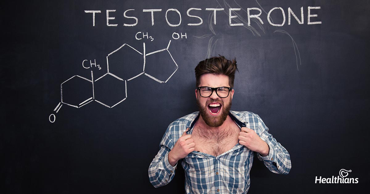 Testosterone: Foods That Help Produce It, and Why You Want More of It - Organic Muscle Fitness Supplements