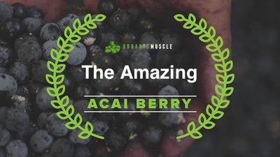The Amazing Acai Berry
