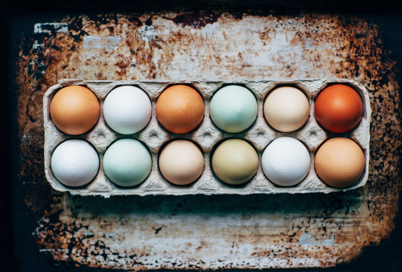 The Gross Truth of Factory Farmed Eggs Vs. Pasture Raised Eggs - Organic Muscle Fitness Supplements