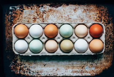 The Gross Truth of Factory Farmed Eggs Vs. Pasture Raised Eggs
