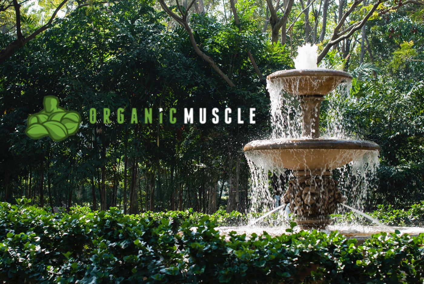 The Natural Path To The Fountain of Youth - Organic Muscle Fitness Supplements