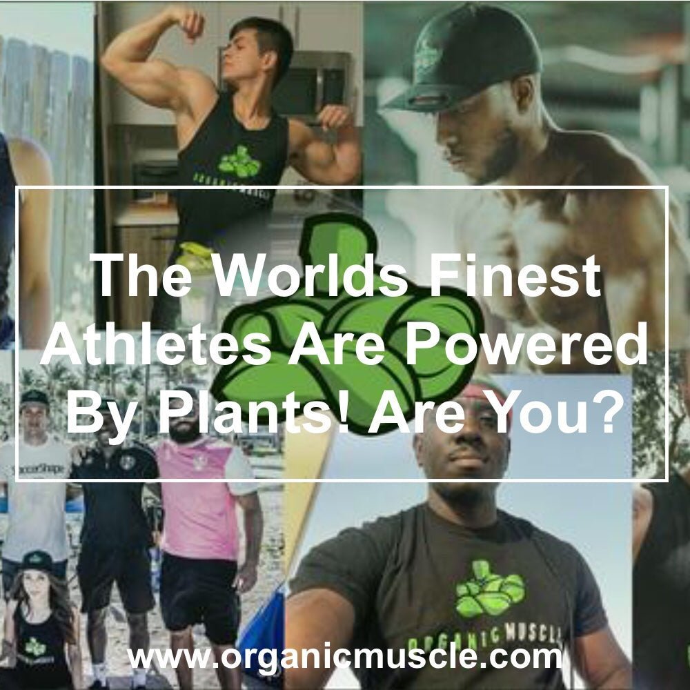 The World's Finest Athletes Are Powered By Plants! Are You? - Organic Muscle Fitness Supplements