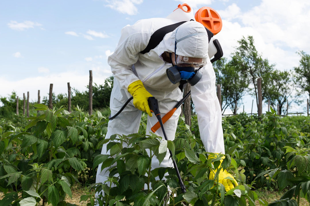 Unmasking Glyphosate's Threat to Our Food: Safeguarding Your Health - Organic Muscle Fitness Supplements
