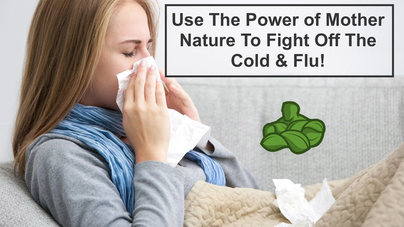 Use The Power of Mother Nature To Fight Off The Cold & Flu! - Organic Muscle Fitness Supplements