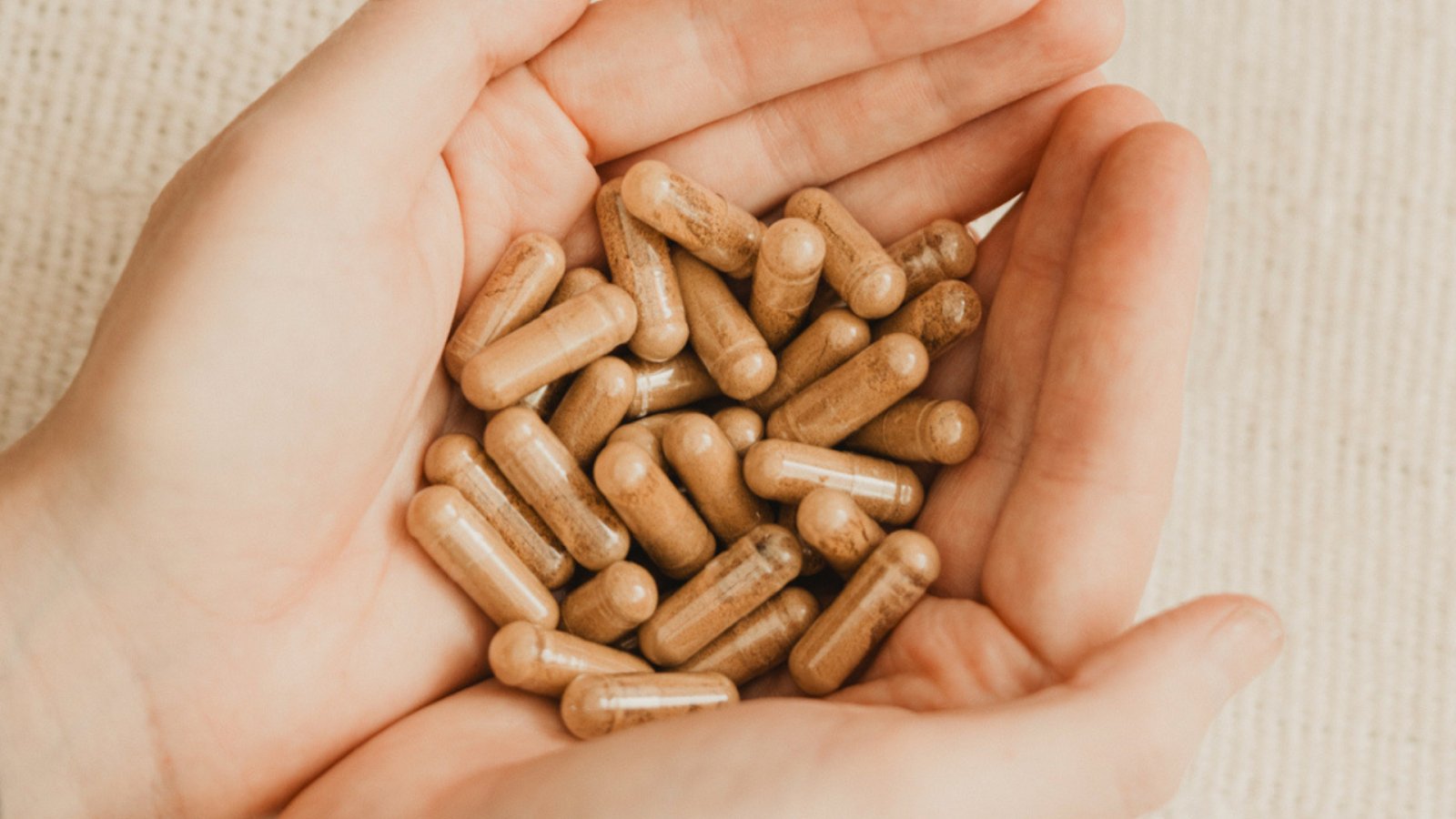 What Is Eurycoma Longifolia? The Medicinal Plant From Southeast Asia - Organic Muscle Fitness Supplements