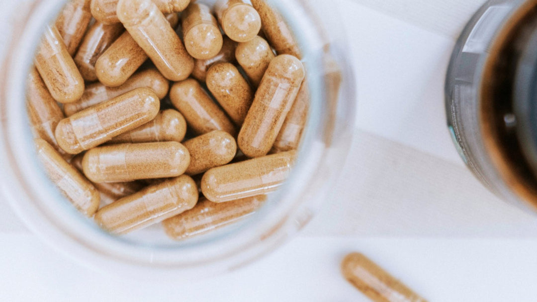 When To Take Tongkat Ali For The Best Results - Organic Muscle Fitness Supplements