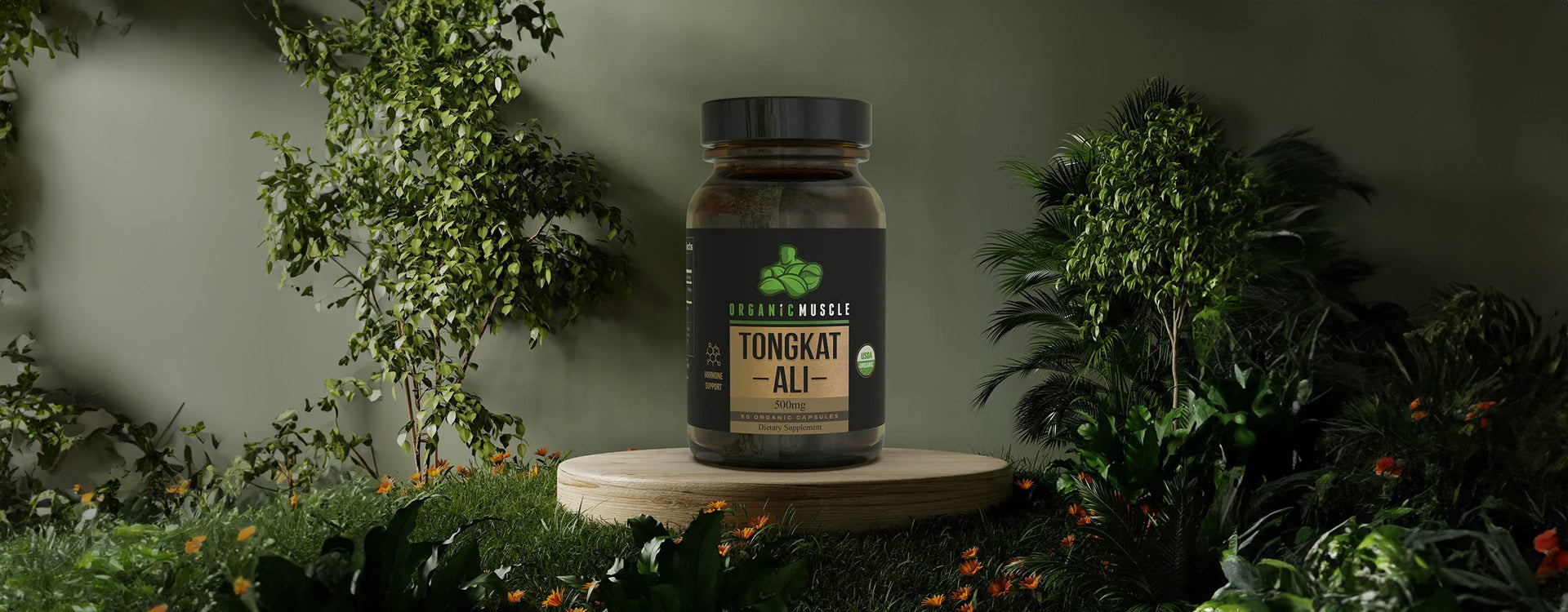 Shilajit vs Tongkat Ali Key Differences Explained Organic Muscle