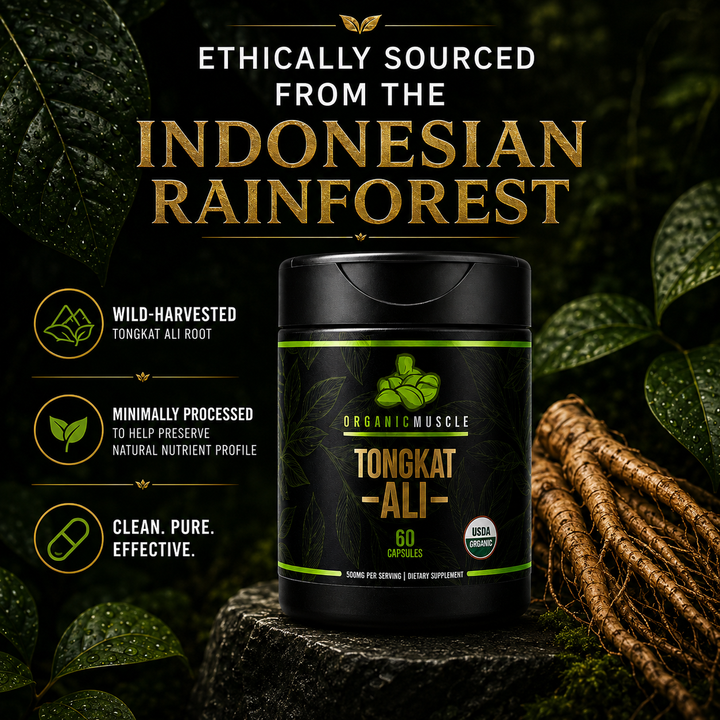 Tongkat Ali