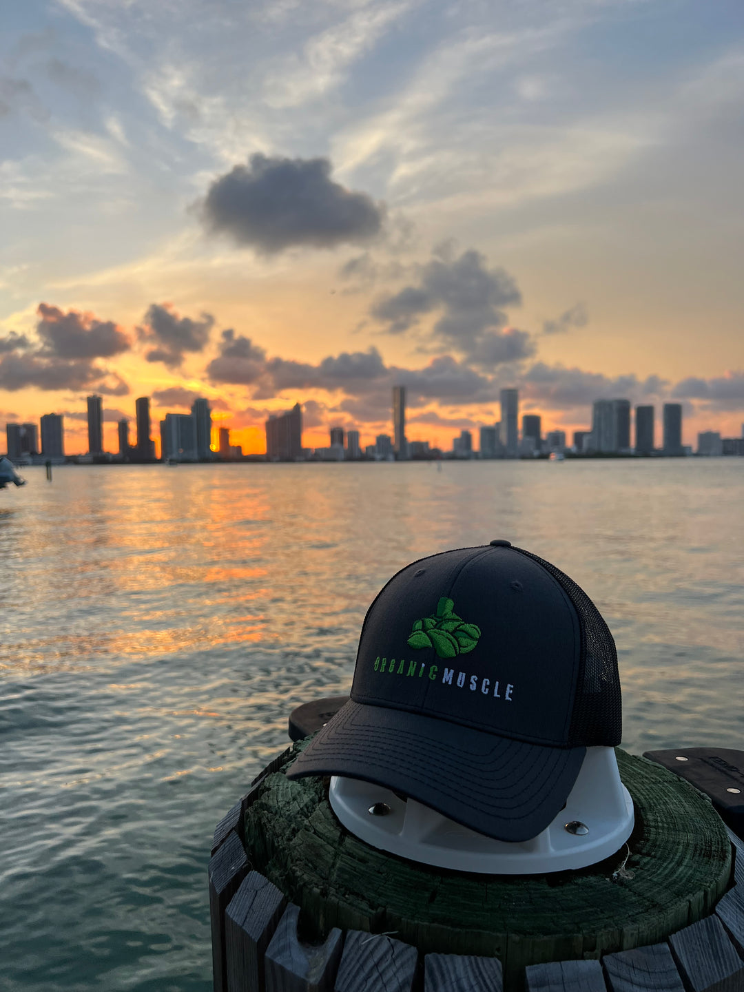 Organic Muscle Snapback Hat - Black