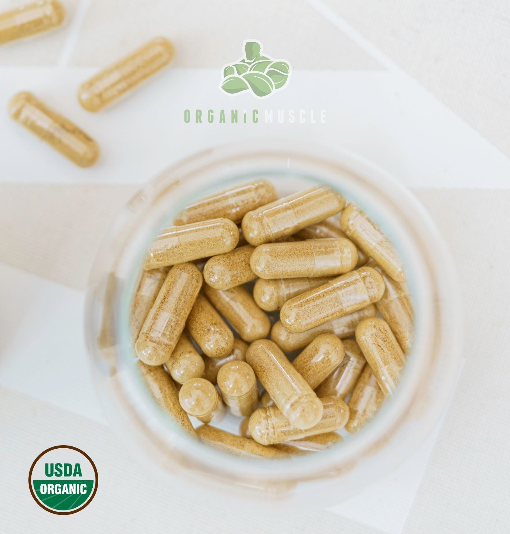 Organic Tongkat Ali Organic Muscle Fitness Supplements