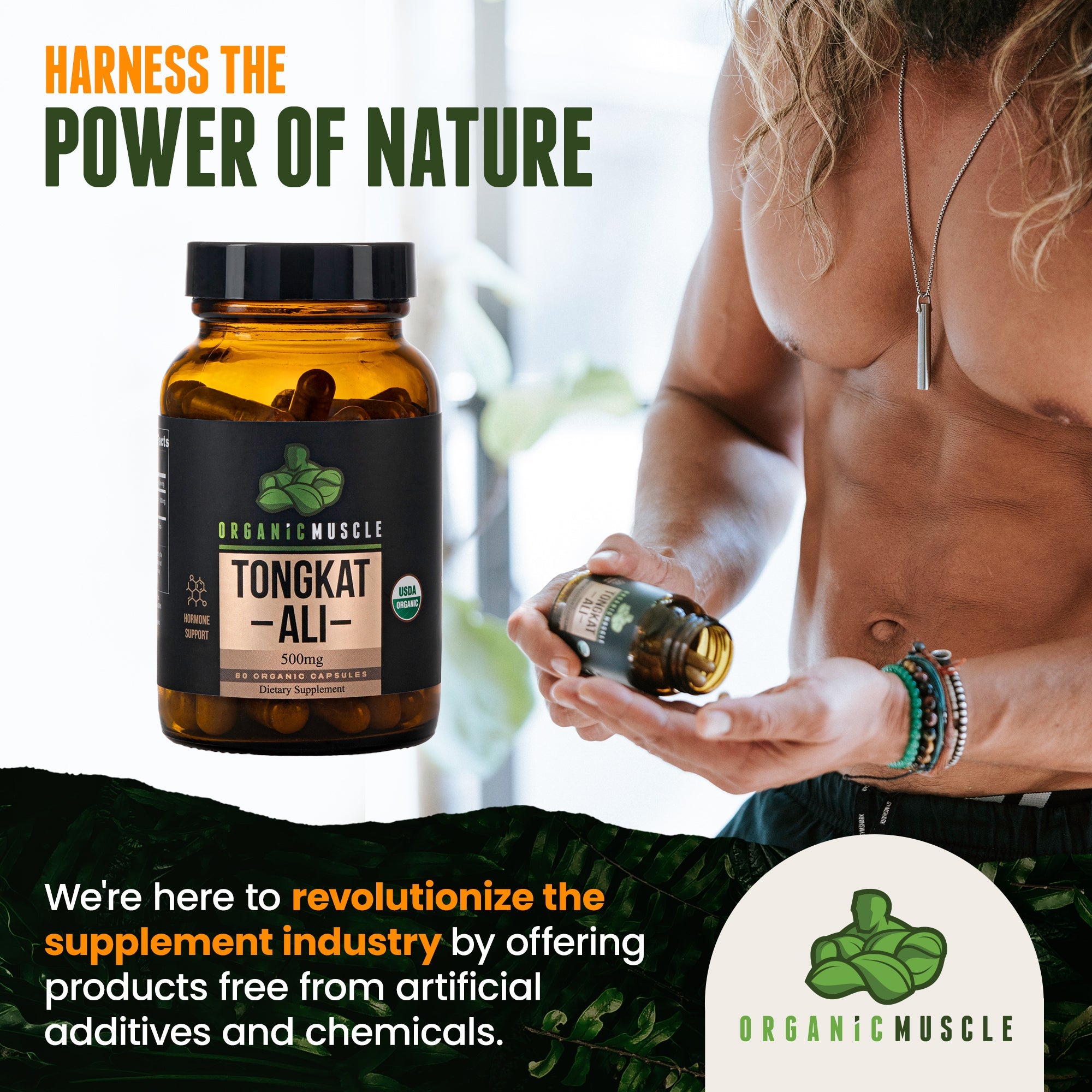 Organic Tongkat Ali Organic Muscle Fitness Supplements