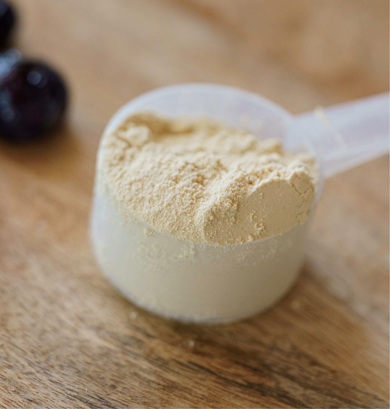 Organic Vegan Protein Powder - Vanilla Flavor – Organic Muscle Fitness  Supplements